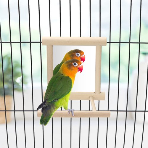 Wontee Bird Mirror with Perch Bird Toys for Parrots Budgies Parakeets Cockatiels Lovebirds Finches Canaries