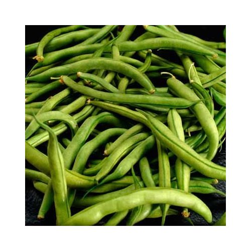 SNAP BEANS GREEN FRESH PRODUCE FRUIT VEGETABLES PER POUND