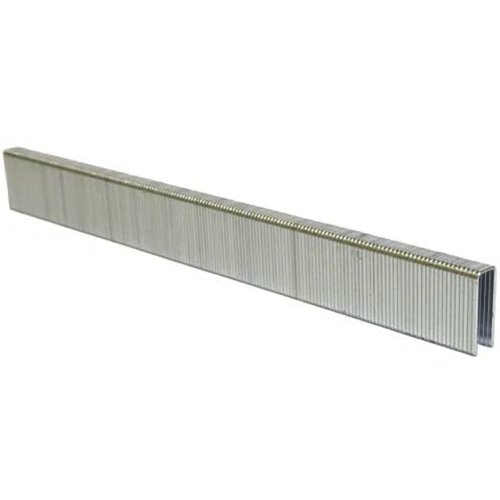 1/2" Leg x 3/16" Crown 22GA Galvanized A08 Upholstery Staples 10M Box