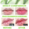 PPPanYiDi 4PCS Aloe Vera Color Changing Moisturizing Lipstick for Women, Magic Temperature Color Change Lipstick Lip Blam Gloss Makeup Gift Set, Long Lasting Nourishing Tinted PH Lip Balm Moisturizer