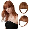 Clip in Bangs Hair Extensions Hair Clip on Wispy Bangs Hair Fake Bangs Clip in Human with Temples Hairpieces for Women Natural Wigs Bangs Clip