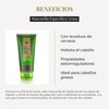 Salerm Biokera Natura Specific Oily Hair Mask, 6.9 Ounce