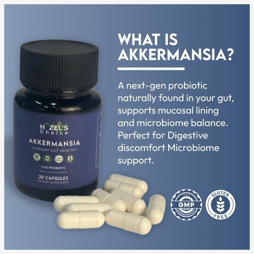 HAZEL'S Choice Akkermansia Probiotic Supplement (30 Count (Pack of 1))