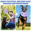 Wagorific Dog Flying Disc with Durable Tug of War Rope for Medium/Large Aggressive Chewers Dog Natural Rubber Interactive Fetch Frisbee Toys Purple and Blue Vine2
