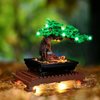 Lightailing Led Light for Lego 10281 Bonsai Building Blocks Model - NOT Included The Model Set
