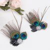 Comidox Hair Clip, Cute Peacock Feather with Rhinestones, Charming Peacock Headpiece Feather Hair Accessories for Women, Weddings, Parties, Halloween, Set of 2