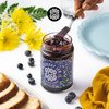 GOOD GOOD No Added Sugar Blueberry Jam - Keto Friendly Jelly - Low Carb, Low-Calorie and Vegan - Diabetic Friendly - 12oz / 330g (Pack of 1)