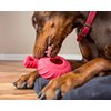 Jolly Pets Tuff Treader Dog Toy with Handle, 6 Inches, Red, Model:JTR23, All Breed Sizes