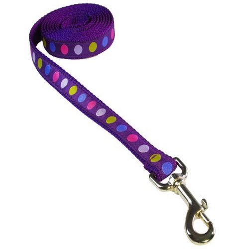 Medium Purple/Multi Dot Dog Leash: 3/4" wide, 6ft length - Made in USA.