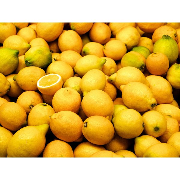 Meyer Lemons (Meyer Lemons 24 Pc's)