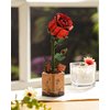 ROBOTIME 3D Puzzle Wooden Flower Red Rose DIY Model Kit to Build for Adults Artifical Bouquet Collection Craft Brain Teaser Puzzle Creative Gift Home Decor