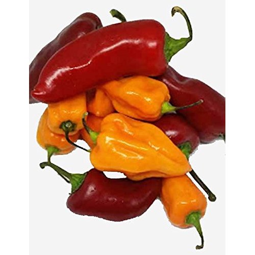Fresh Habanero and Fresh Red Fresno Chili Peppers