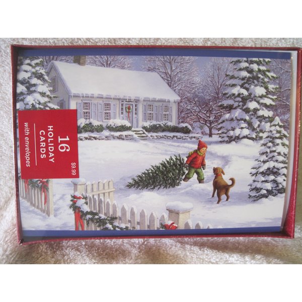 1 X BXC1931 Boy and Puppy Dog Image Arts Holiday Cards 16 count by Hallmark
