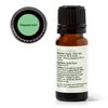 Plant Therapy Peppermint Essential Oil 10 mL (1/3 oz) 100% Pure, Undiluted, Natural Aromatherapy for Diffuser & Topical Use, Digestion, Respiratory, & Massage, Peppermint Oil for Skin & Hair