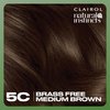 Clairol Natural Instincts Demi-Permanent Hair Dye, 5C Brass Free Medium Brown Hair Color, Pack of 1