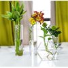 Kingbuy Wall Hanging Glass Planter Propagation Terrarium Hexagon Shape Flower Vase for Home Office Decor, Plant Lover Gifts, 3 Pack, Medium