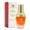 Shankara Kumkumadi Oil with Pure Saffron and Ayurvedic Herbs – Dark Spot Remover Facial Oil for Hydrated and Moisturized Skin – Kumkumadi Tailam Face Oil to Reveal Radiant Glow (18 ml)