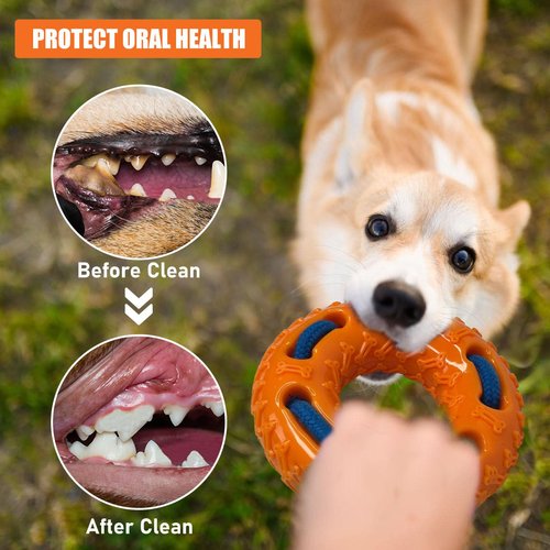SW PRODUCTS 5" Retrieving Dog Toy, Floats on Water, Fun Interactive Training Toy for Puppies, Small & Midsize Dogs, TPR Rubber