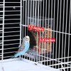 Kenond No Mess Bird Feeder Water Dispenser Set, Automatic Parrot Feeder Cage Accessories, Clear Parakeet Seed Container Food Feeder Drinker for Cage, Cockatiel Squirrel Finch Lovebirds Budgies Canary