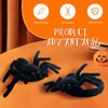 AOCEAN Halloween Spider Hair Hoop Black Spider Headpiece Halloween Headband Cosplay for Women Hair Accessories Headdress for Halloween Decorations Party Supplies (SPIDER)