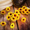 24 Pieces Sunflower Hair Pins for Women Sunflower Hair Clips Daisy Clips Daisy Flower Pin Bridal Wedding Accessories for Women Bridesmaids Wedding(Yellow)