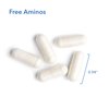 Allergy Research Group Free Aminos Supplement - Free Form Amino Acids, Essential Amino Acids Complex, Lean Muscle Mass Support, Allergen-Free, Digestion-Free, Vegetarian Capsules - 100 Count