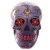 Puckator Day of The Dead Mexican Skull Money Box