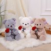 Ruzucoda Plush Teddy Bear with Rose Stuffed Animals Toys Dolls Valentine's Day Gifts for Girls Girlfriend Lover 9 Inches (Brown)