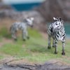 Gemini&Genius Zebras Toys for Kids, Wild Life Animal Toy Figurines African Jungle Animal Zebras Action Figure Playset Gift for Kids Educational, Cake Toppers, Party Supplies, Animal Toy Set