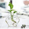 Kingbuy Wall Hanging Glass Planter Propagation Terrarium Hexagon Shape Flower Vase for Home Office Decor, Plant Lover Gifts, 3 Pack, Medium
