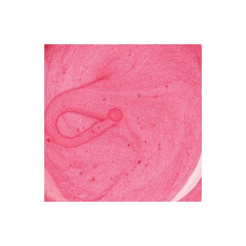 Lip Gloss Lacquer Squeeze Tube by Pree (Candy)