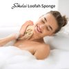 3 Pack Farm natural organic loofah sponge Skin cleansing skin exfoliation Bathing and Back caring spa body shower Puff Scrubber Lofa Loofa Luffa Loffa Daily skin care