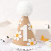 WAWUO Sweet Daisy Themed Birthday Hat - Party Decorations for Baby Girl or Boy's First Birthday