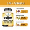 American Standard Supplements Irish Sea Moss 1200mg, Bladderwrack 1200mg and Burdock Root 225mg Per Serving - Vegan, Gluten Free, Non-GMO, 120 Capsules, 40 Servings
