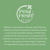 Petal Fresh Pure Scalp Treatment Tea Tree Conditioner, Nourishes the Scalp, Reduces Itchy Scalp and Irritation, Infused with Essential Oils, Vegan and Cruelty Free, 16 Fl. oz
