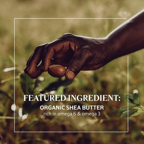 L'Occitane Shea Butter Zesty Lime Hand Cream for Unisex, 1 Ounce (Pack of 1)