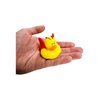 Butterfly Green, Blue, Red & Purple Novelty Rubber Ducks (12 Pack) Quirky & Fun Carnival Game PRIZES. Bath Tub Toys and Jeep Duck Ducking.
