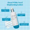 The Face Shop White Seed Brightening Lotion Face Moisturizer - Targets Dark Spots, Dullness and Dryness - Brightening, Hydrating - Niacinamide - Skin Care - Korean Skin Care Moisturizer Face Cream