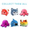 TeeTurtle - The Original Reversible Tiger Plushie - Pride - Orange + Rainbow - Cute Sensory Fidget Stuffed Animals That Show Your Mood!