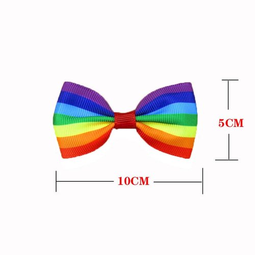 Rainbow Hair Bow Clips for Women Girls Gay Pride Day Rainbow Hair Accessories TSFJ52 (2pcs Small ...