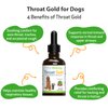 Pet Wellbeing Throat Gold for Dogs - Vet-Formulated - Soothes Throat Discomfort, Hoarseness, Leash Strain, Occasional Cough in Dogs - Natural Herbal Supplement 2 oz (59 ml)