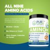 PURE Amino Blend All Nine Essential Amino Acids BCAA