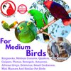 Bonka Bird Toys 3608 Gear Ring Foot Talon Bird Toy Conure African Grey