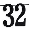 Black Glitter Look at You Turning 32 & Shit Banner, Happy 32nd Birthday/Level 32 Unlocked/Cheers to 32 Years, Funny 32nd Birthday Party Decorations Supplies
