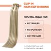 UGOTRAYS Blonde Clip in Hair Extensions Real Human Hair - 15 inch 70g Ash Blonde Mixed Bleach Blonde Straight 7pcs Double Weft - 100% Remy Human Hair Extensions #18p613 15inches
