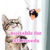 Selxran 6 PCS Cat Toy Refills Retractable Wand Toy Cat Feather Toy for Indoor Cats to Chase and Exercise
