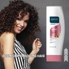 ABOVE Nutritive Conditioner, 11 oz - Hair Conditioner with Biotin - Strengthen and Revive Hair - Keratin Hair Booster - Conditioner for Colored Hair