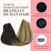 GOO GOO Clip in Hair Extensions Real Human Hair, Remy Human Hair Extensions Clip ins for Women, Natural Human Hair, 18inch 120g 7Pcs, 2/6/18 Balayage Brown to Dirty Blonde