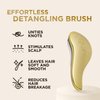 RICH Hair Care Golden Glamour Satin Touch Detangling Brush- Dry and Wet Hair Brush Detangler for All Hair Types - Keeps Hair Smooth, Anti-static, Reduces Frizz for Men, Women and Kids