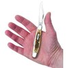 Case XX WR Folding Pocket Knife 3 Blade Stockman 3 7/8 Inches Closed (Amber Bone)
